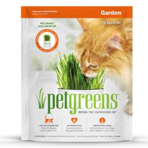 Pet Greens Garden Self-Grow Cat Grass Kit, Wheatgrass, 3 oz