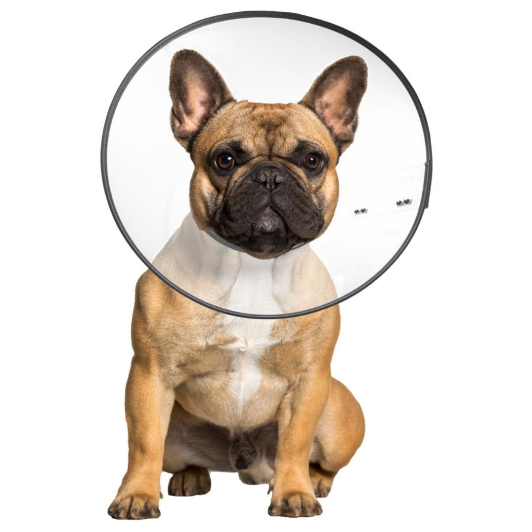ZenPet E-Clear Plastic Recovery Collar Size - Image 2