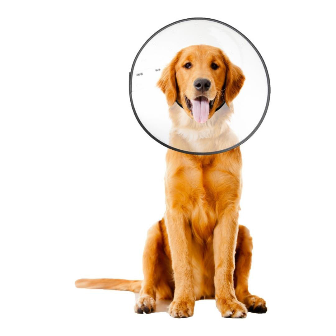 ZenPet E-Clear Plastic Recovery Collar Size - Image 3