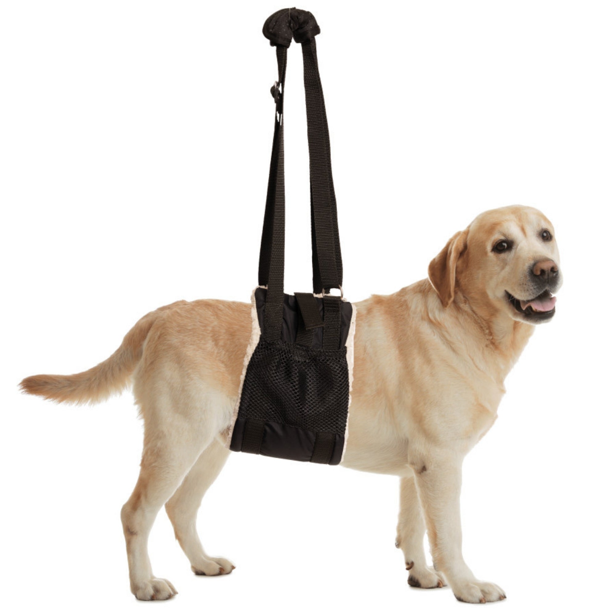 ZenPet Buddy Lift Canine Support and Rehabilitation Sling Medium/Large - Image 2