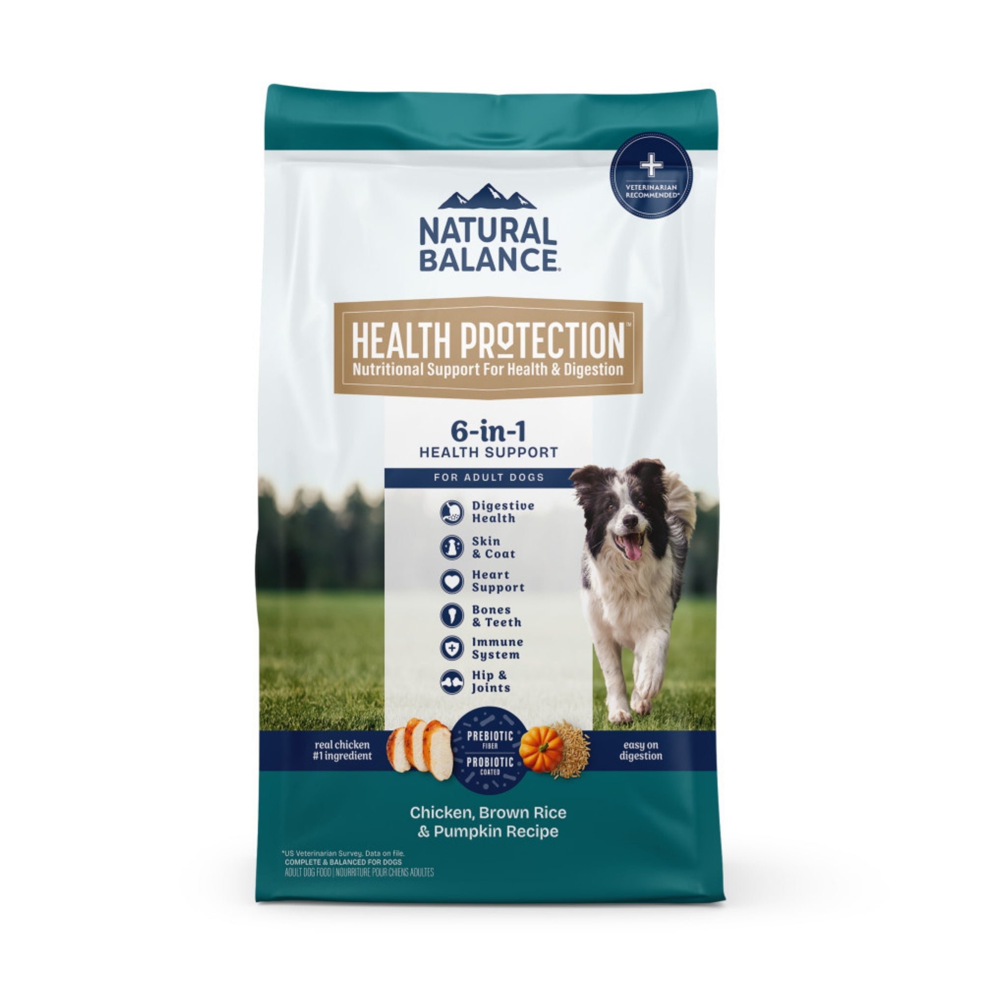 Natural Balance Health Protection Chicken, Brown Rice & Pumpkin Dry Dog Food - Image 2