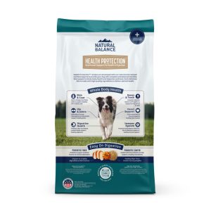 Natural Balance Health Protection Chicken, Brown Rice & Pumpkin Dry Dog Food