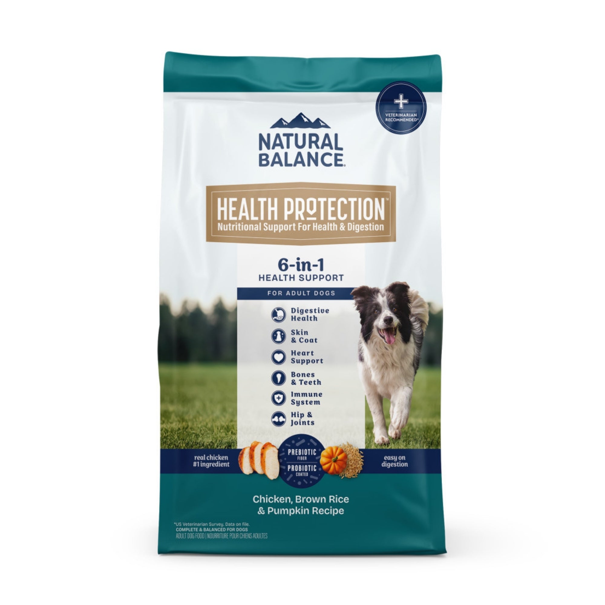 Natural Balance Health Protection Chicken, Brown Rice & Pumpkin Dry Dog Food - Image 3