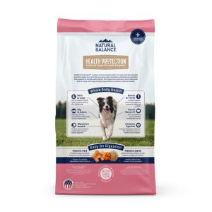 Natural Balance Health Protection Salmon, Brown Rice & Pumpkin Dog Food, 22 lb