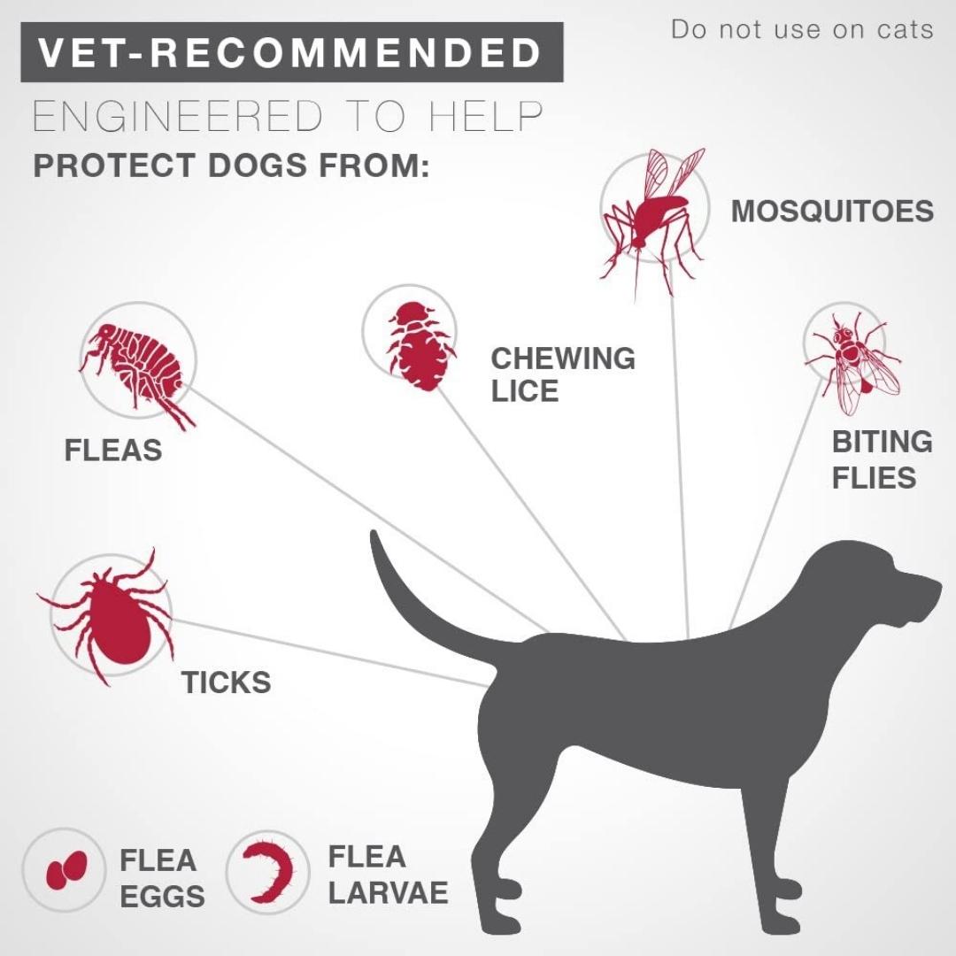 K9 Advantix II Flea, Tick & Mosquito Protection X-Large Dog - Image 2
