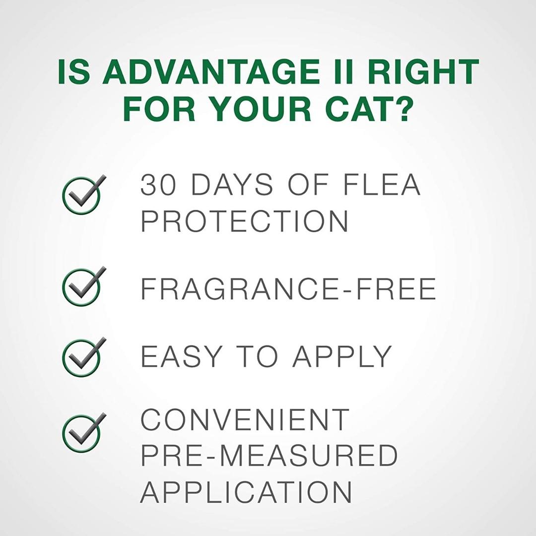 Advantage II Flea Protection Small Cat - Image 3