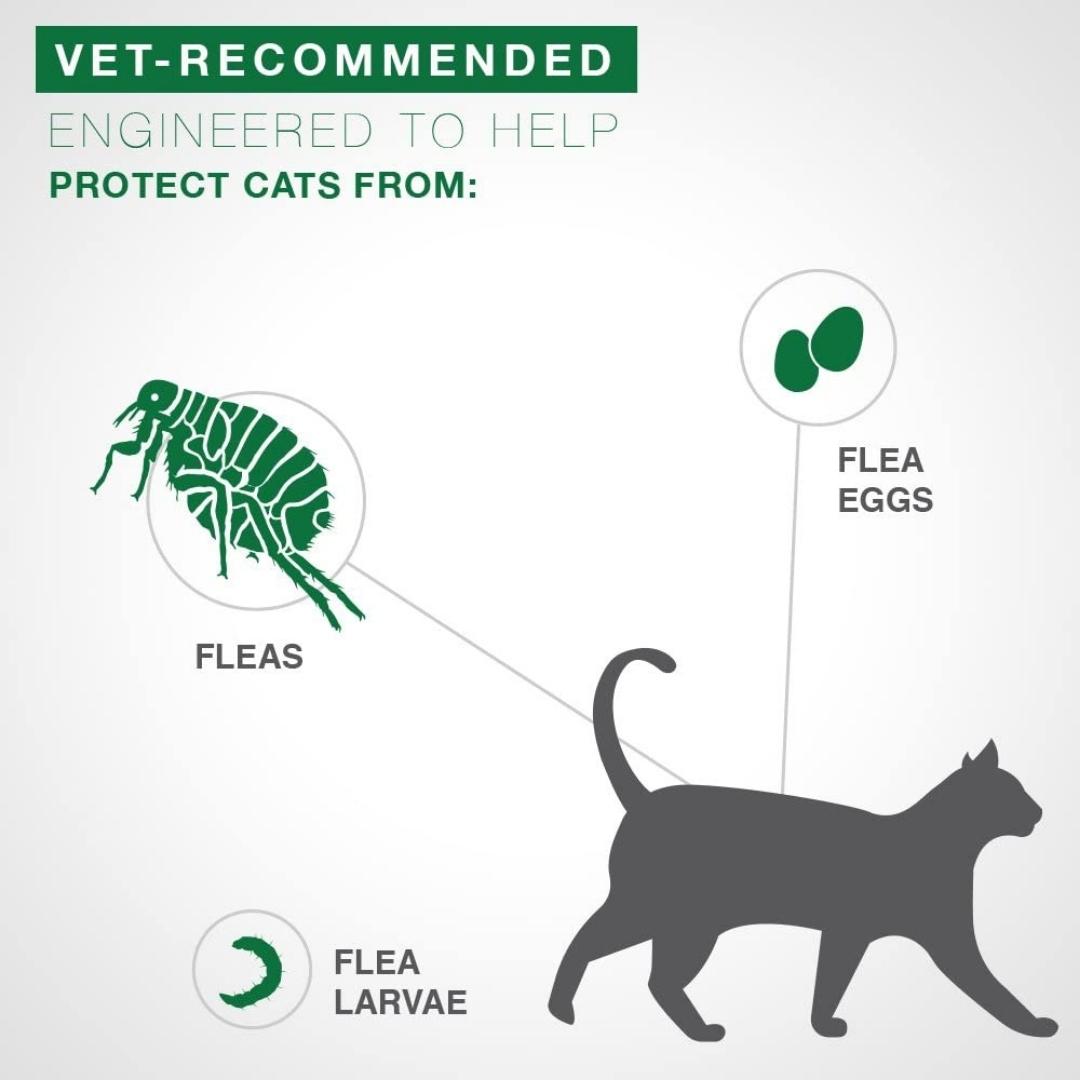 Advantage II Flea Protection Large Cat - Image 3