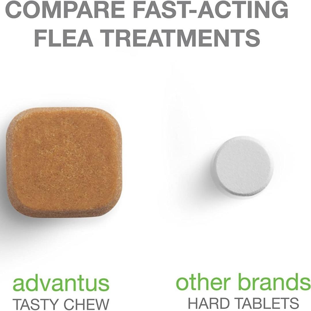 Advantus Chewable Flea Treatment for Dog - Image 4