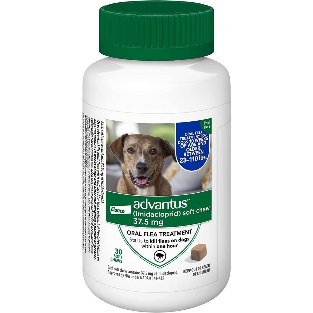 Advantus Chewable Flea Treatment for Dog - Image 3