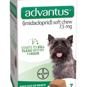 Advantus Chewable Flea Treatment for Dog