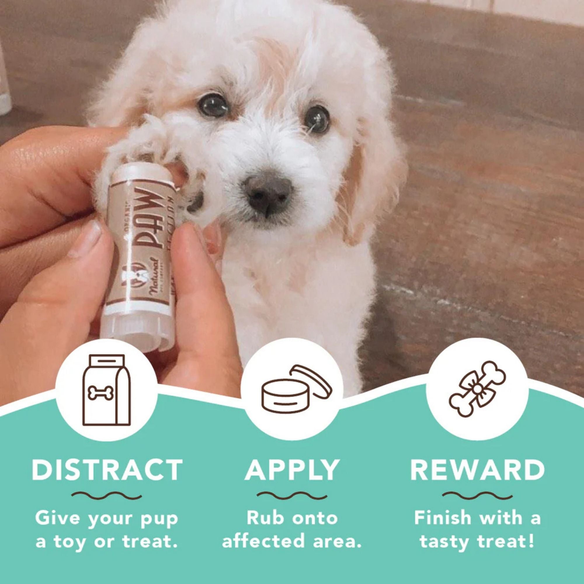 Natural Dog Company Dog Pawtection Stick 2oz. - Image 2