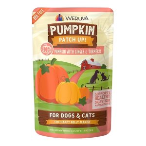 Weruva Pumpkin & Ginger Supplement Pouch for Dogs & Cats