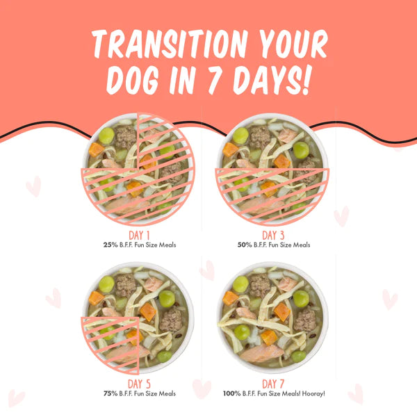 BFF We Be Jammin' Chicken & Salmon Dog Food Cup, 2.7 oz (12 Pack) - Image 3
