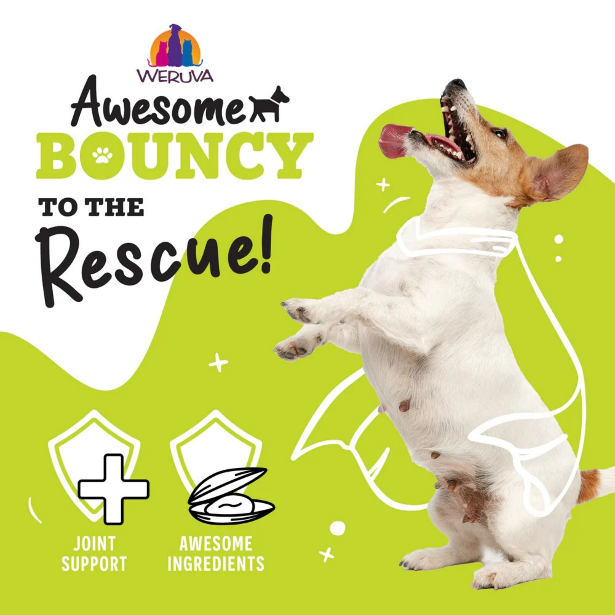 Weruva Awesome Bouncy Beef & Rice Wet Dog Food - Image 2