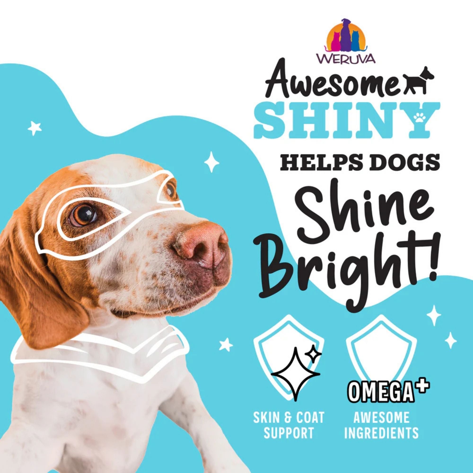 Weruva Awesome Shiny Beef & Rice Wet Dog Food - Image 2