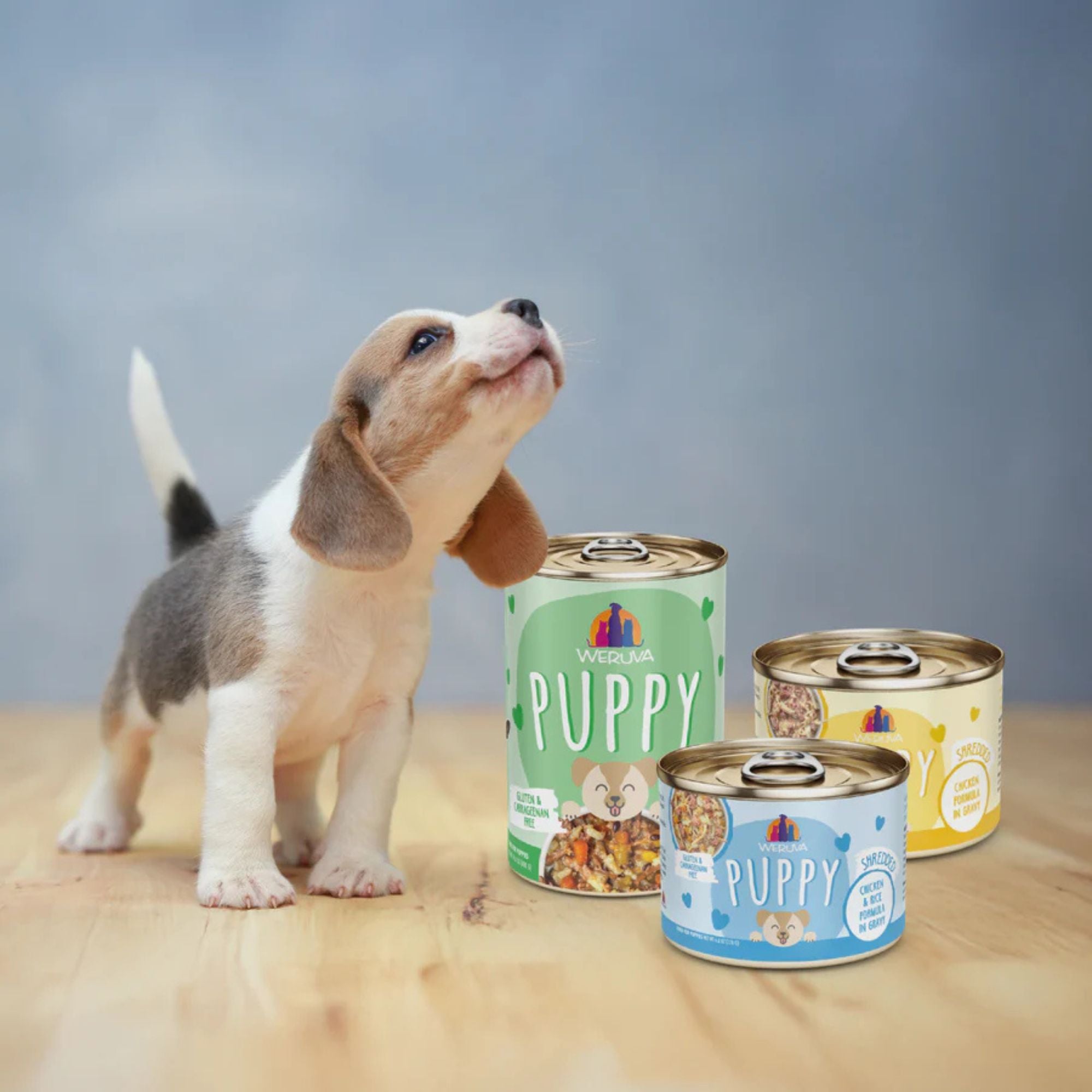 Weruva Puppy Chicken & Rice Formula Wet Dog Food, 14 oz (Case of 10) - Image 3