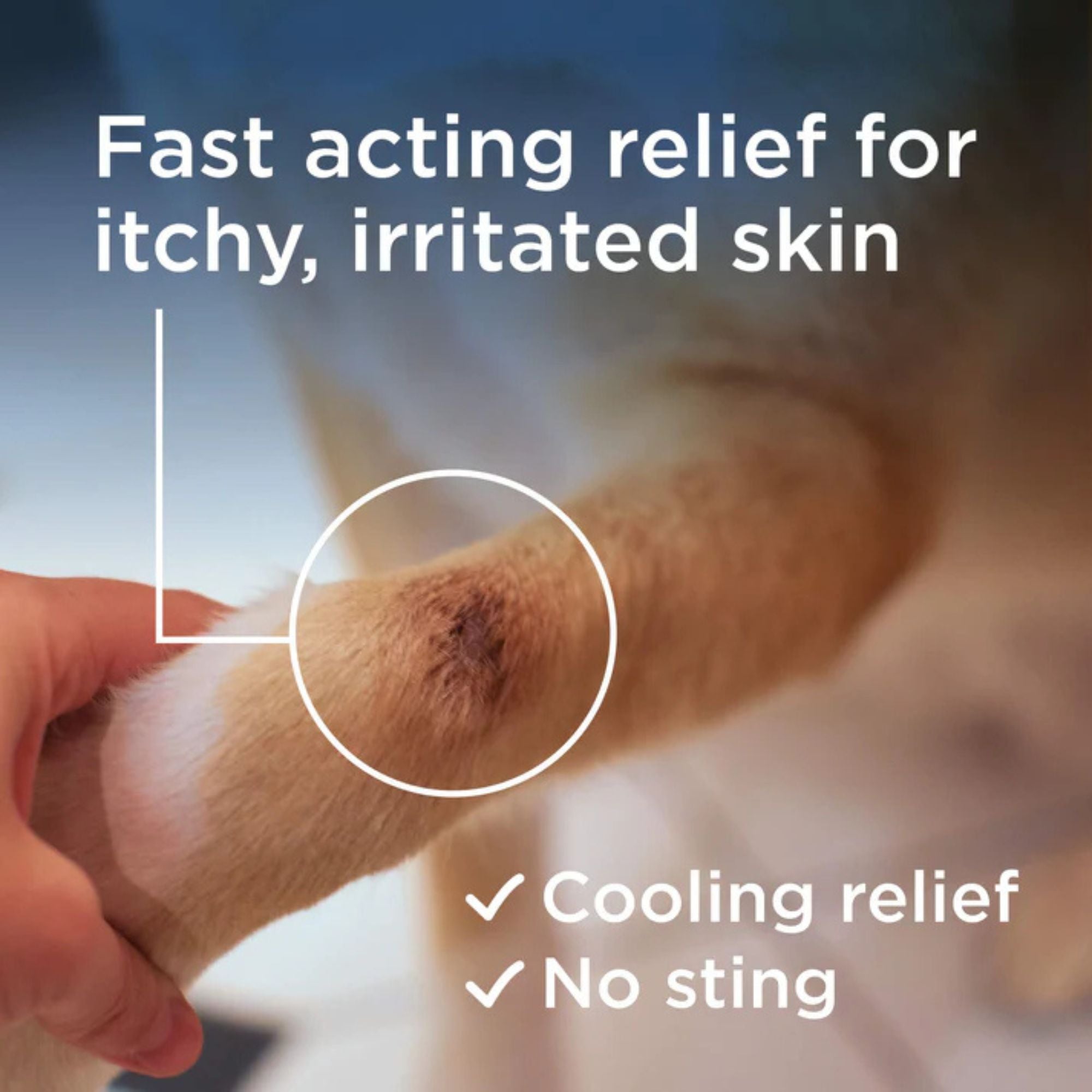 Wondercide Dog & Cat Rescue Skin Spray 8.5oz. - Image 2