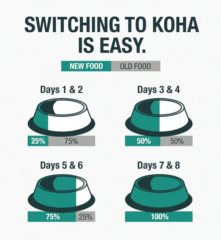 KOHA Limited Ingredient Grain-Free 90% Turkey Entrée, 13 oz (Case of 12) - Image 6