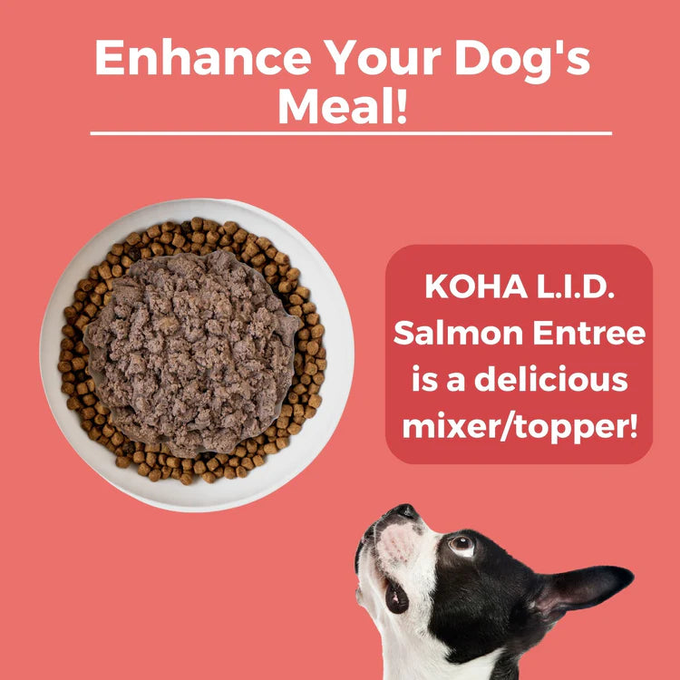 KOHA Limited Ingredient Grain-Free 90% Salmon Entrée, 13 oz (Case of 12) - Image 3