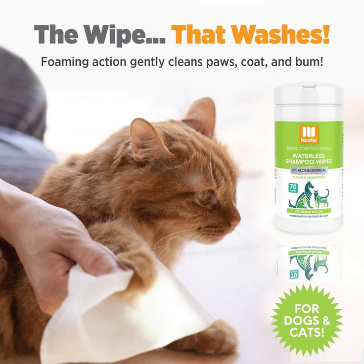Nootie Waterless Grooming Wipes Cucumber Melon 70 Count - Image 4