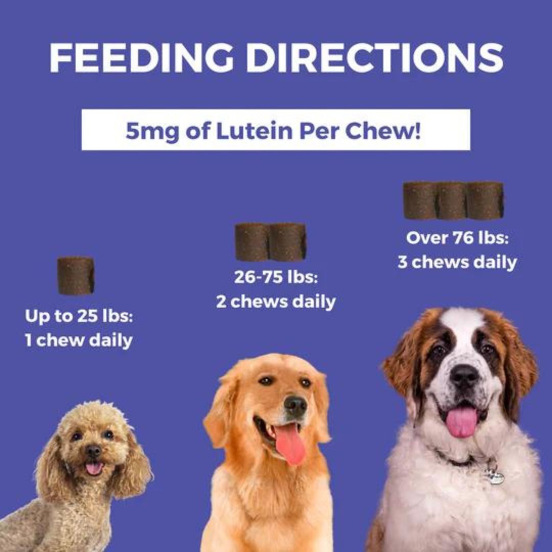 Nootie Dog Progility Tear Stain & Eye Support Chew 80 Count - Image 2