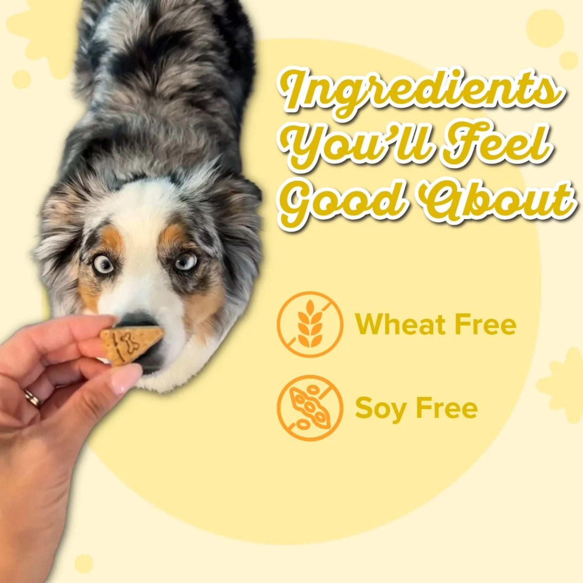 Lazy Dog Cookie Co. Apple Cheddar Maple Vanilla Dog Treats, 5 oz (Case of 3) - Image 3