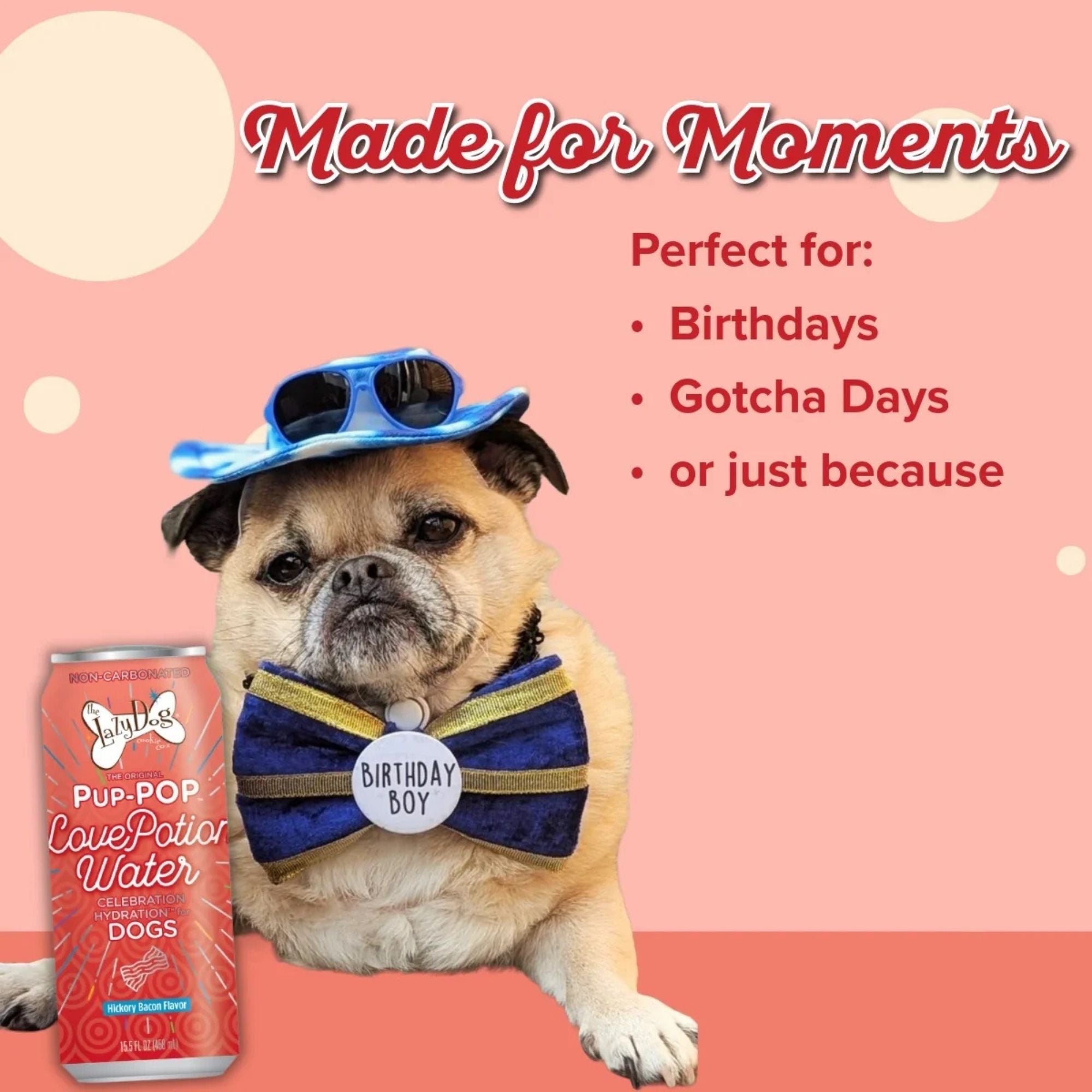 Lazy Dog Pup-Pop Love Potion Bacon Flavor Water 15.5oz. (Case of 4) - Image 3