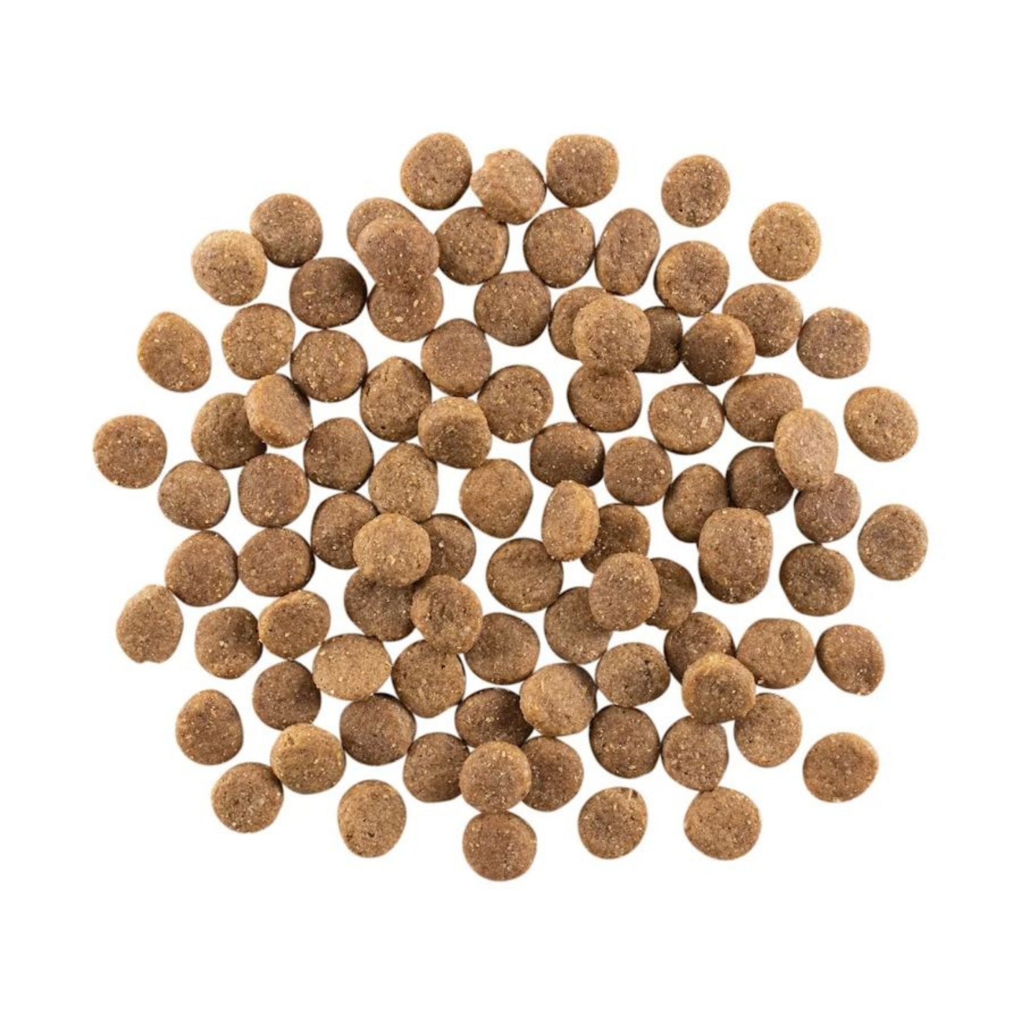 Go! Solutions Weight Management + Joint Care Grain-Free Chicken Dry Dog Food - Image 3