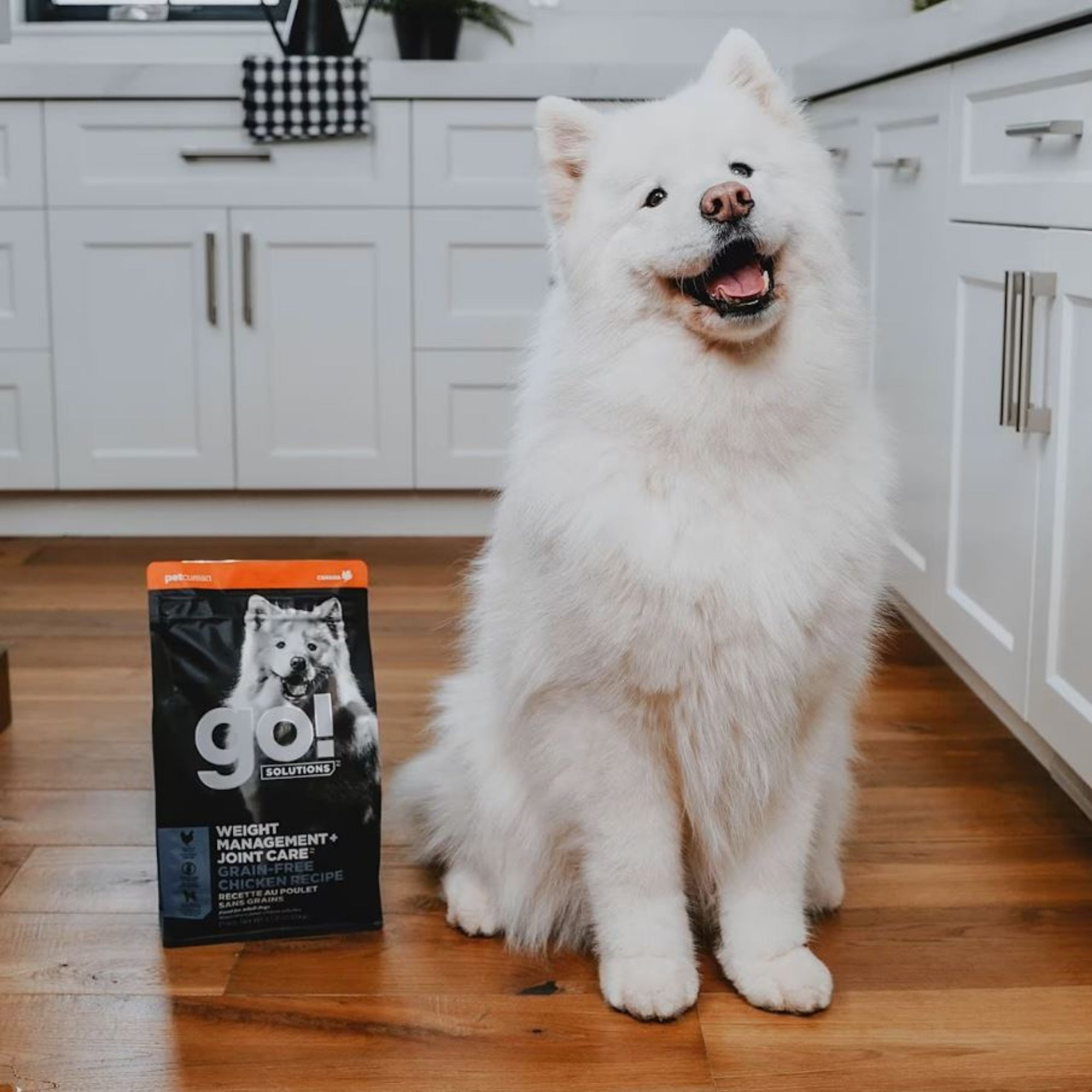 Go! Solutions Weight Management + Joint Care Grain-Free Chicken Dry Dog Food - Image 2
