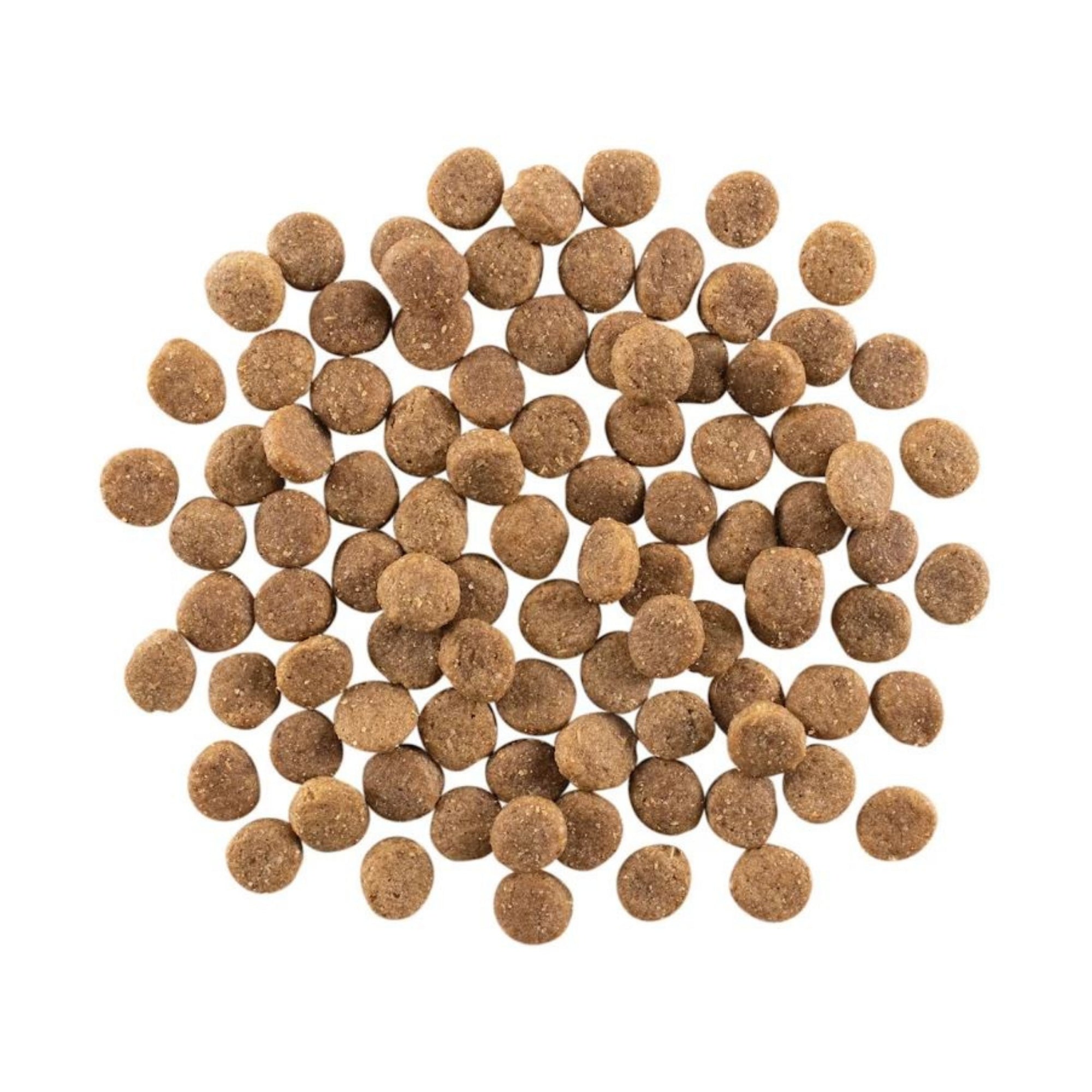 Go! Solutions Weight Management + Joint Care Grain-Free Chicken Dry Dog Food - Image 5