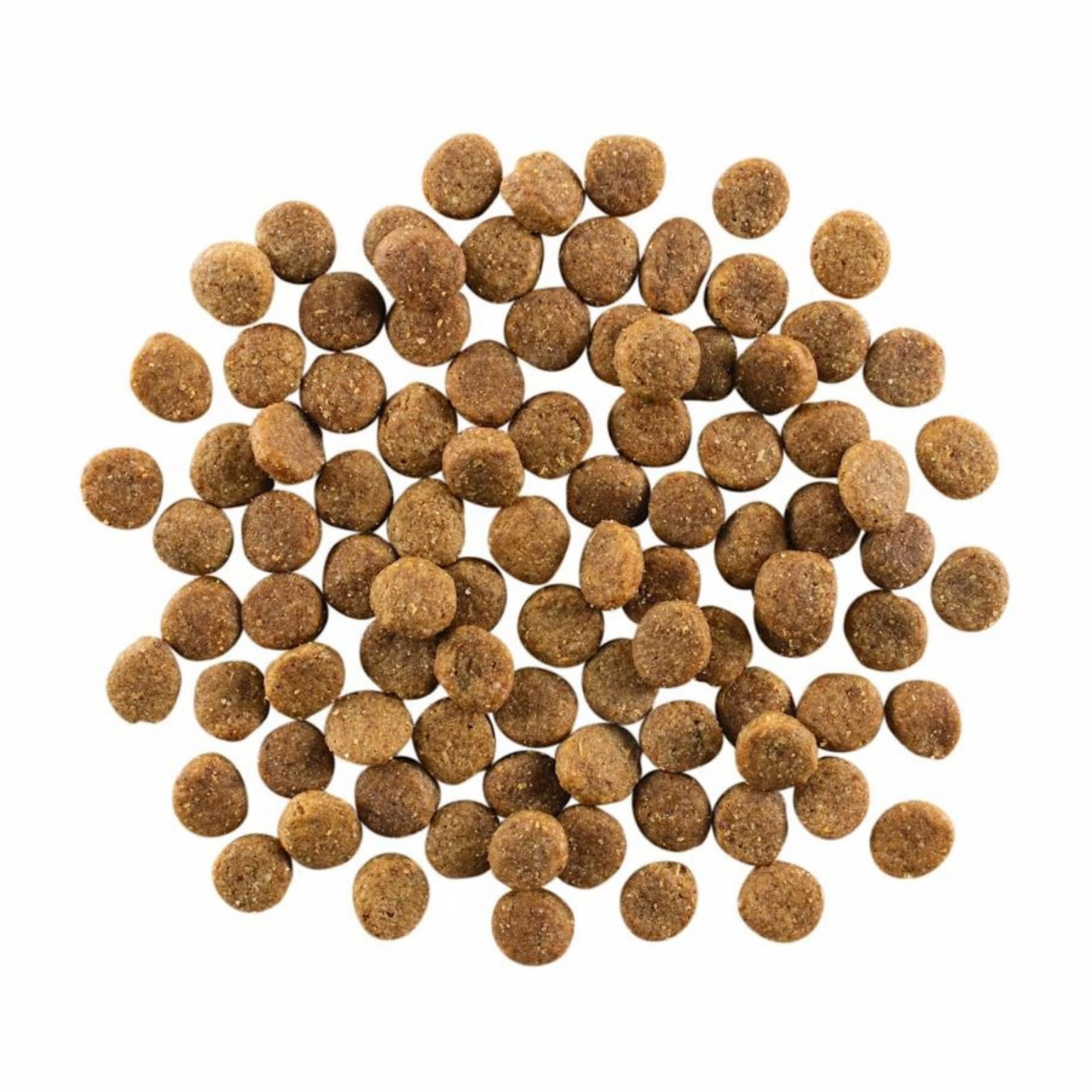 Go! Solutions Skin + Coat Care Chicken with Grains Dry Dog Food - Image 3