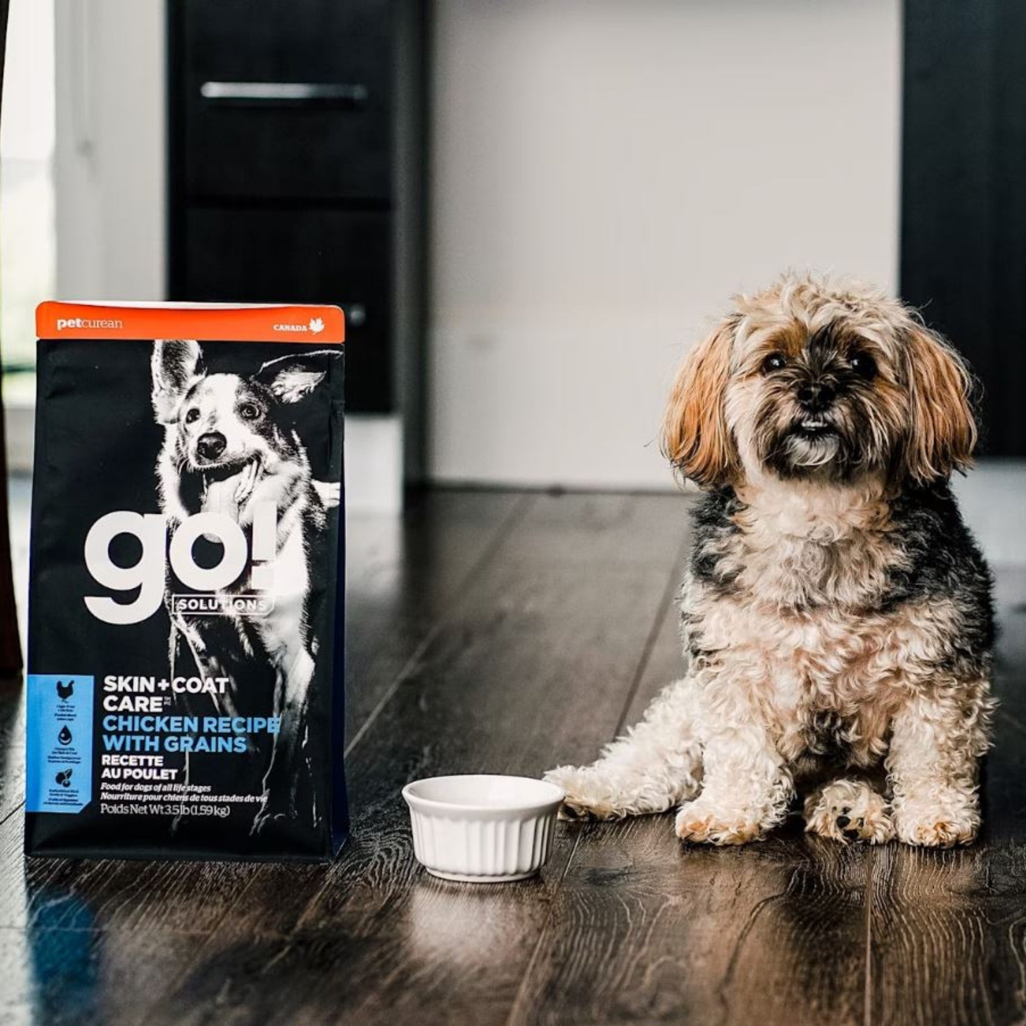 Go! Solutions Skin + Coat Care Chicken with Grains Dry Dog Food - Image 2
