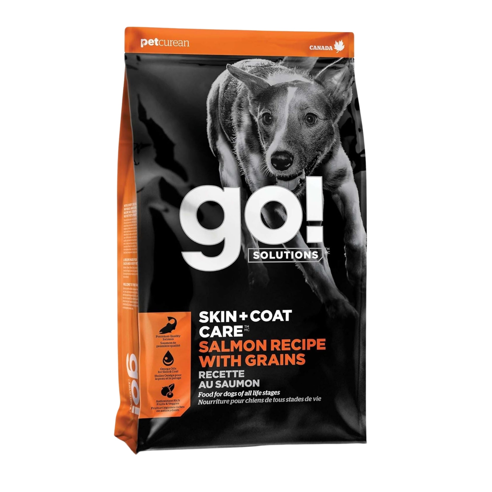 Go! Solutions Skin + Coat Care Salmon with Grains Dry Dog Food - Image 4