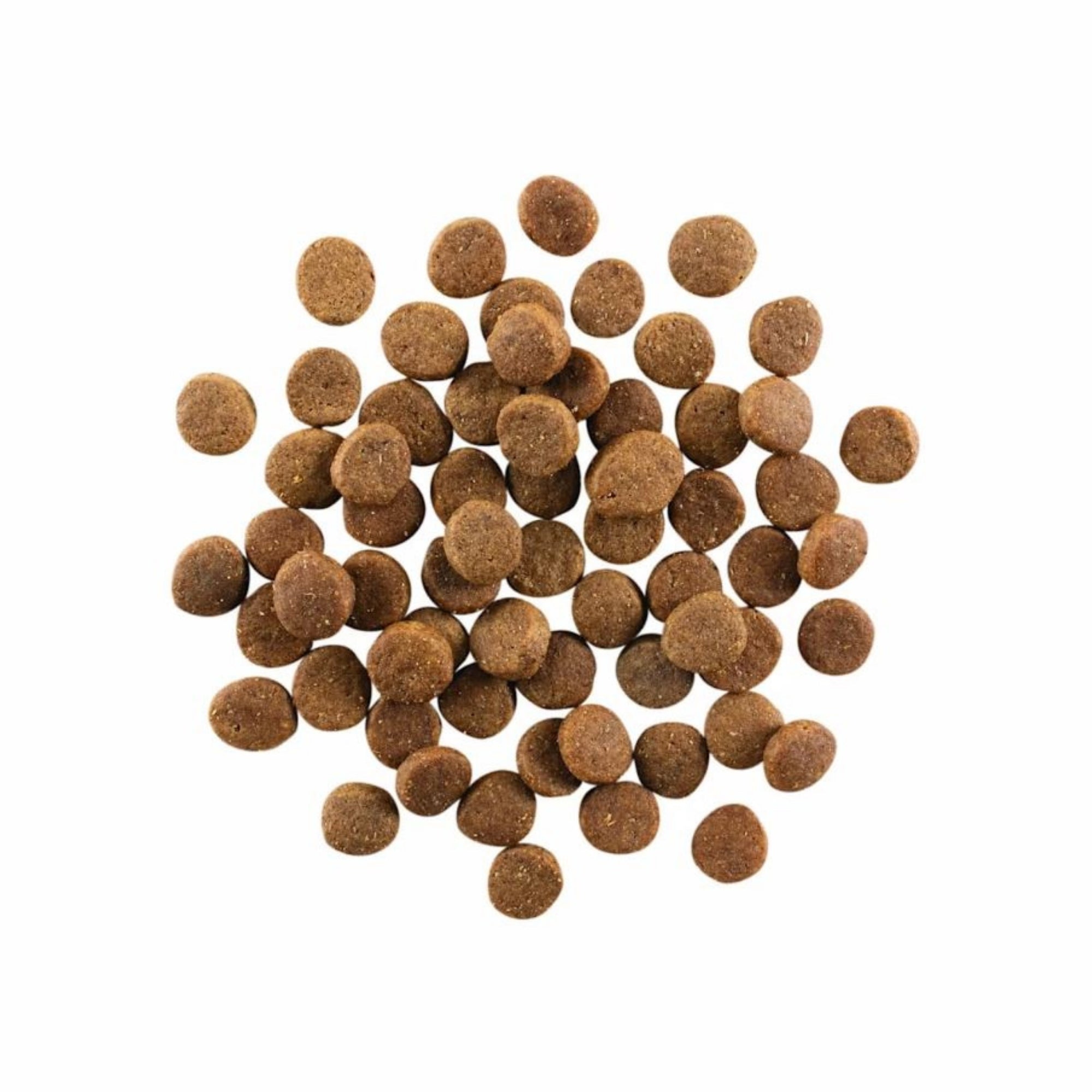 Go! Solutions Carnivore Grain-Free Chicken, Turkey & Duck Dry Dog Food - Image 2