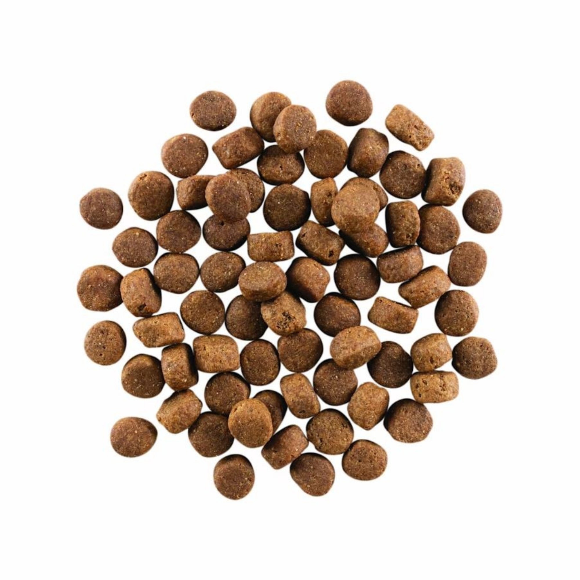 Go! Solutions Carnivore Grain-Free Senior Chicken, Turkey & Duck Dry Dog Food - Image 4