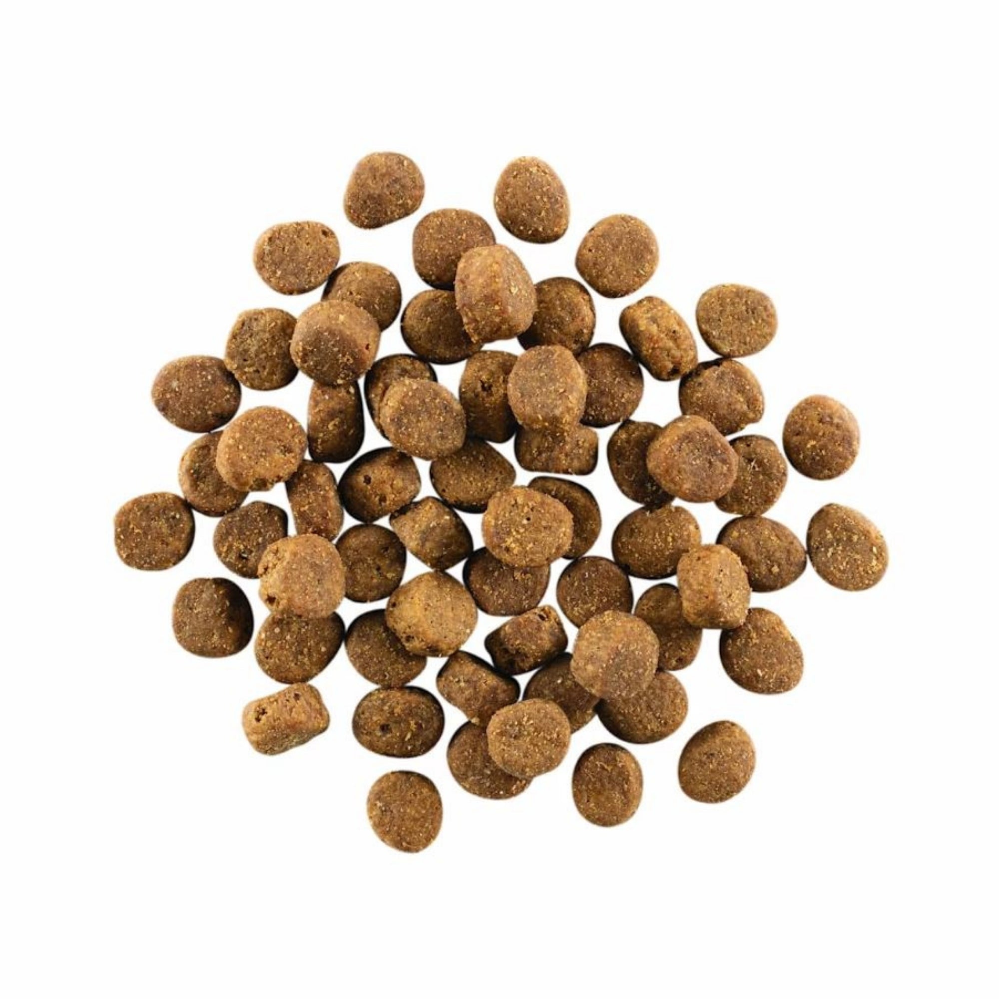 Go! Solutions Carnivore Grain-Free Salmon & Cod Dry Dog Food - Image 2