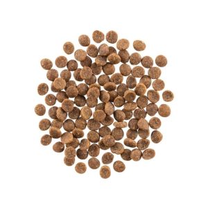 Go! Solutions Carnivore Grain-Free Dry Cat Food, Salmon & Cod, 8 lb