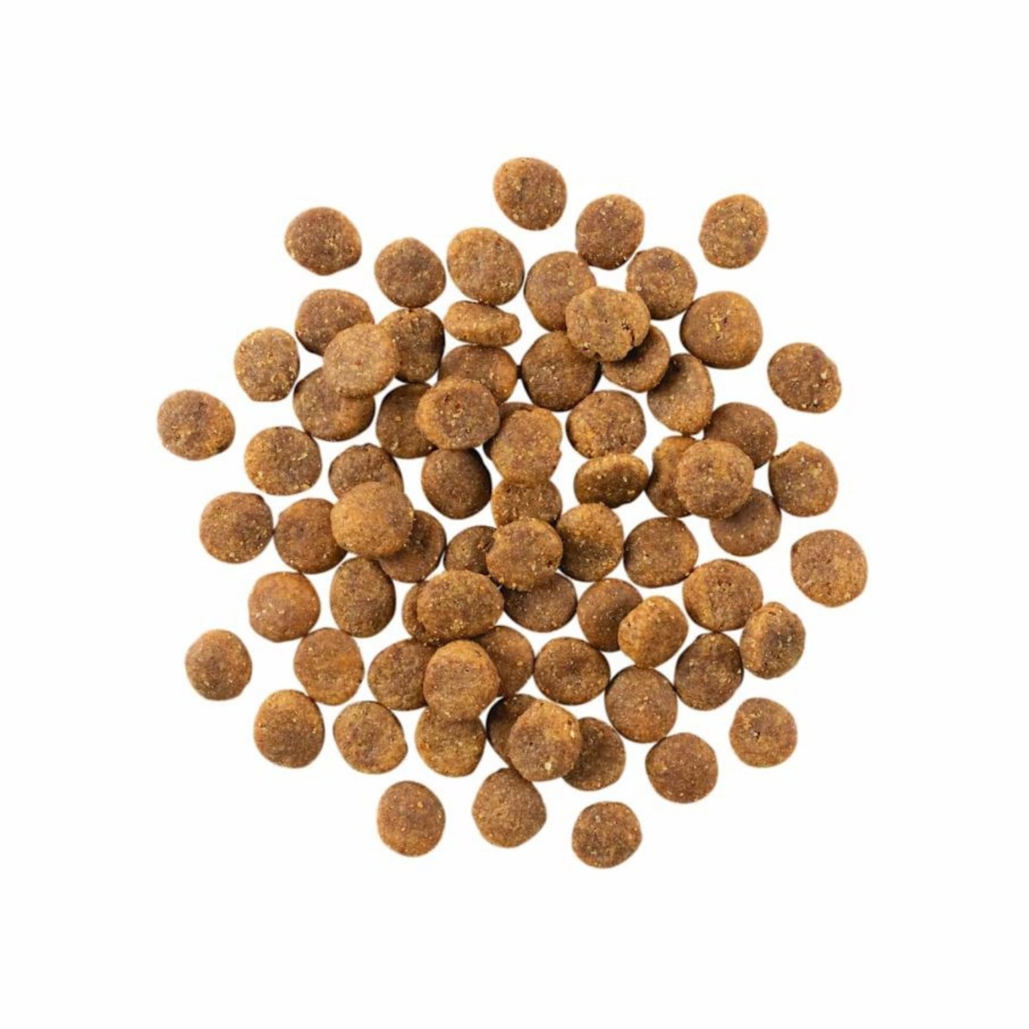 Go! Solutions Sensitivities LID Grain-Free Duck Dry Dog Food - Image 2