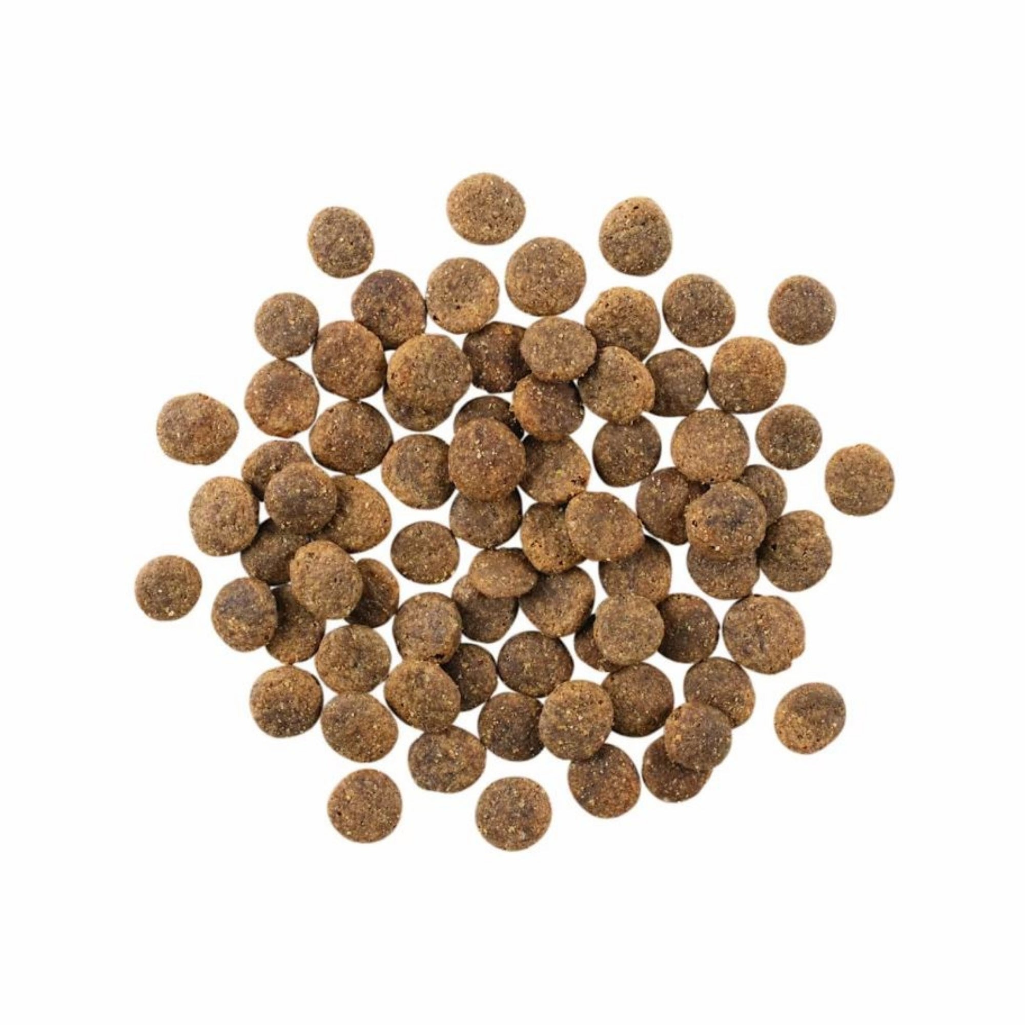 Go! Solutions Sensitivities LID Grain-Free Lamb Dry Dog Food, 22 lb - Image 2