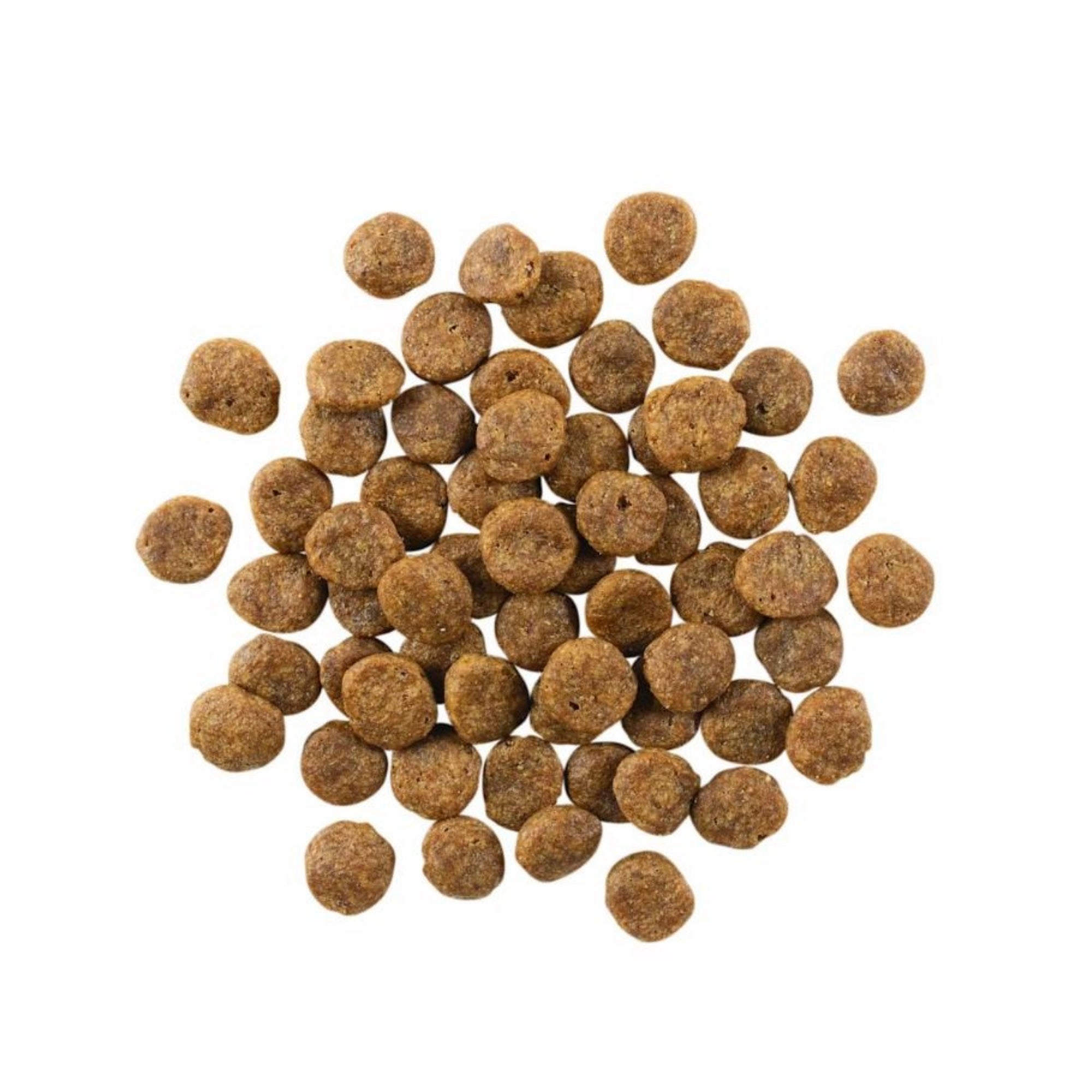 Go! Solutions Sensitivities LID Grain-Free Salmon Dry Dog Food - Image 4