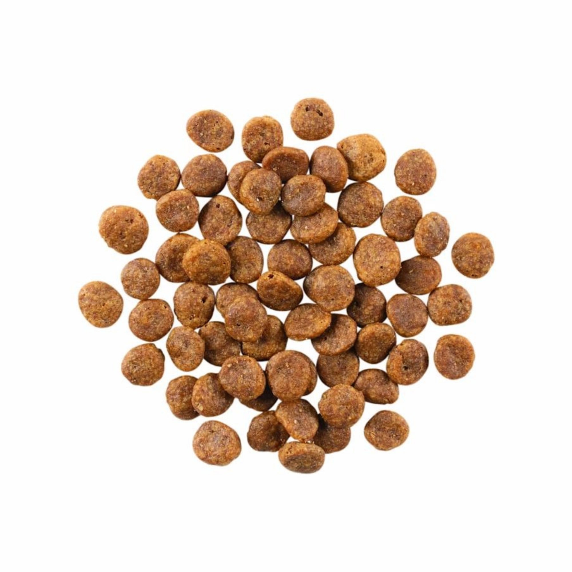 Go! Solutions Sensitivities LID Grain-Free Turkey Dry Dog Food - Image 4