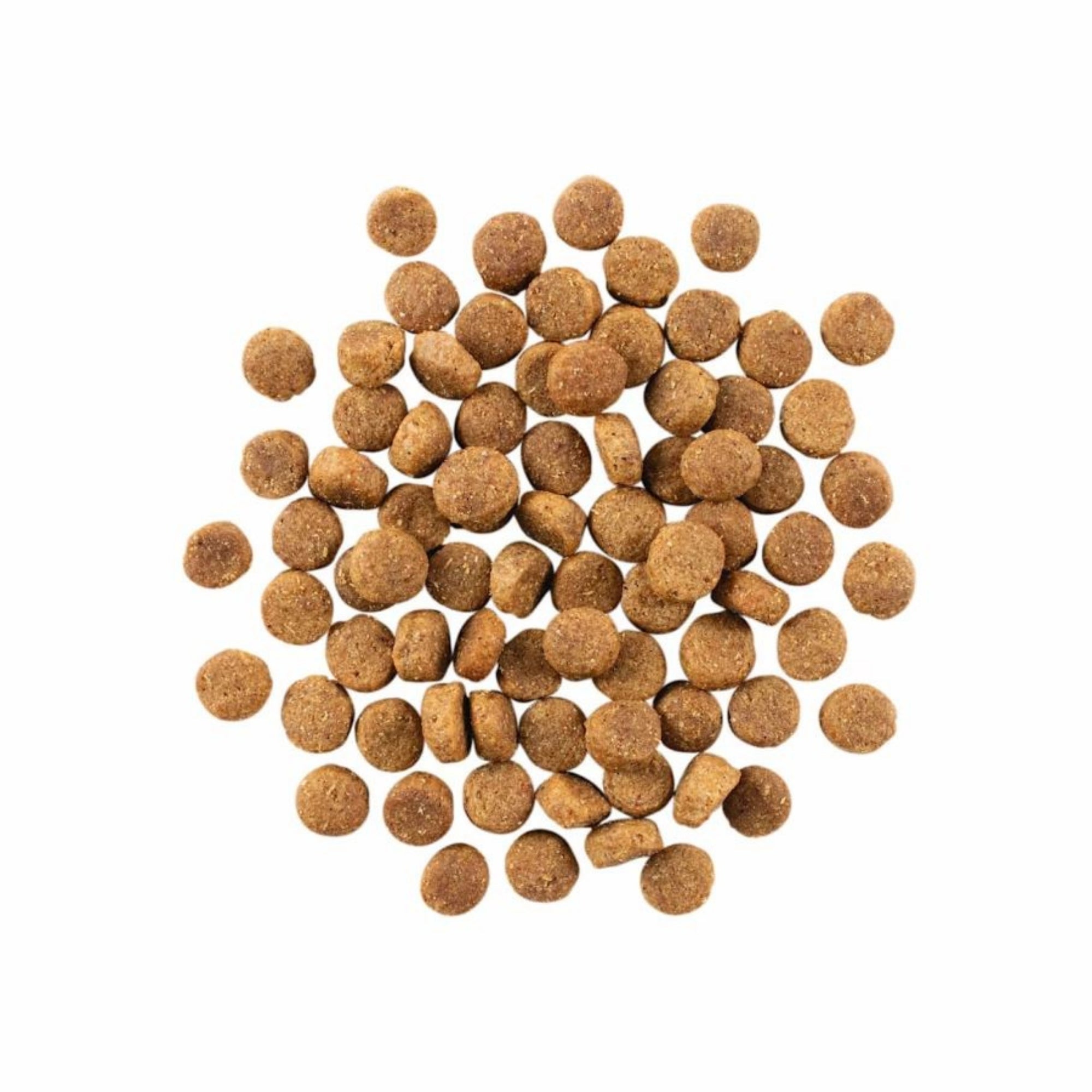 Go! Solutions Skin + Coat Care Duck with Grains Dry Dog Food - Image 2