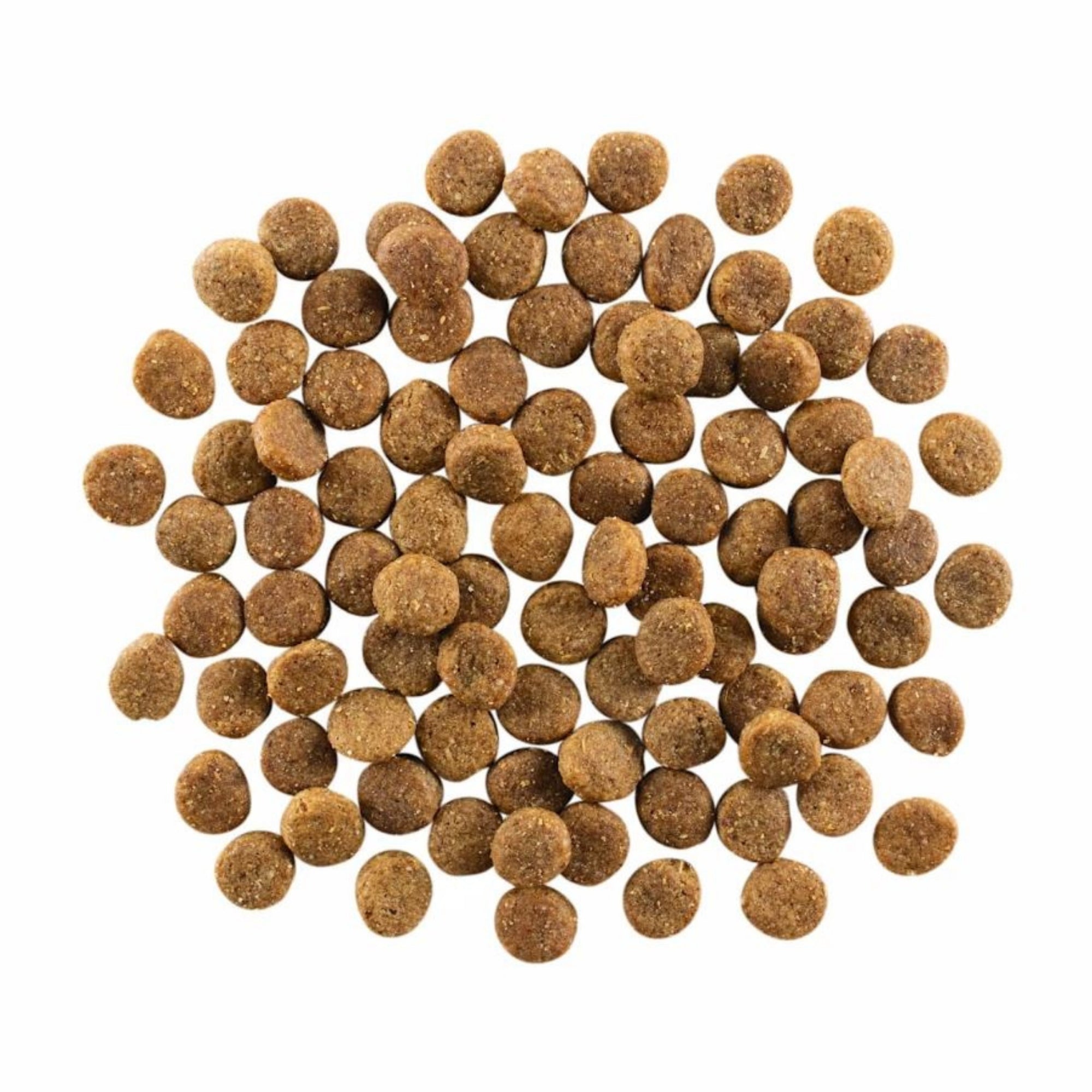 Go! Solutions Skin + Coat Care Chicken with Grains Dry Dog Food - Image 8
