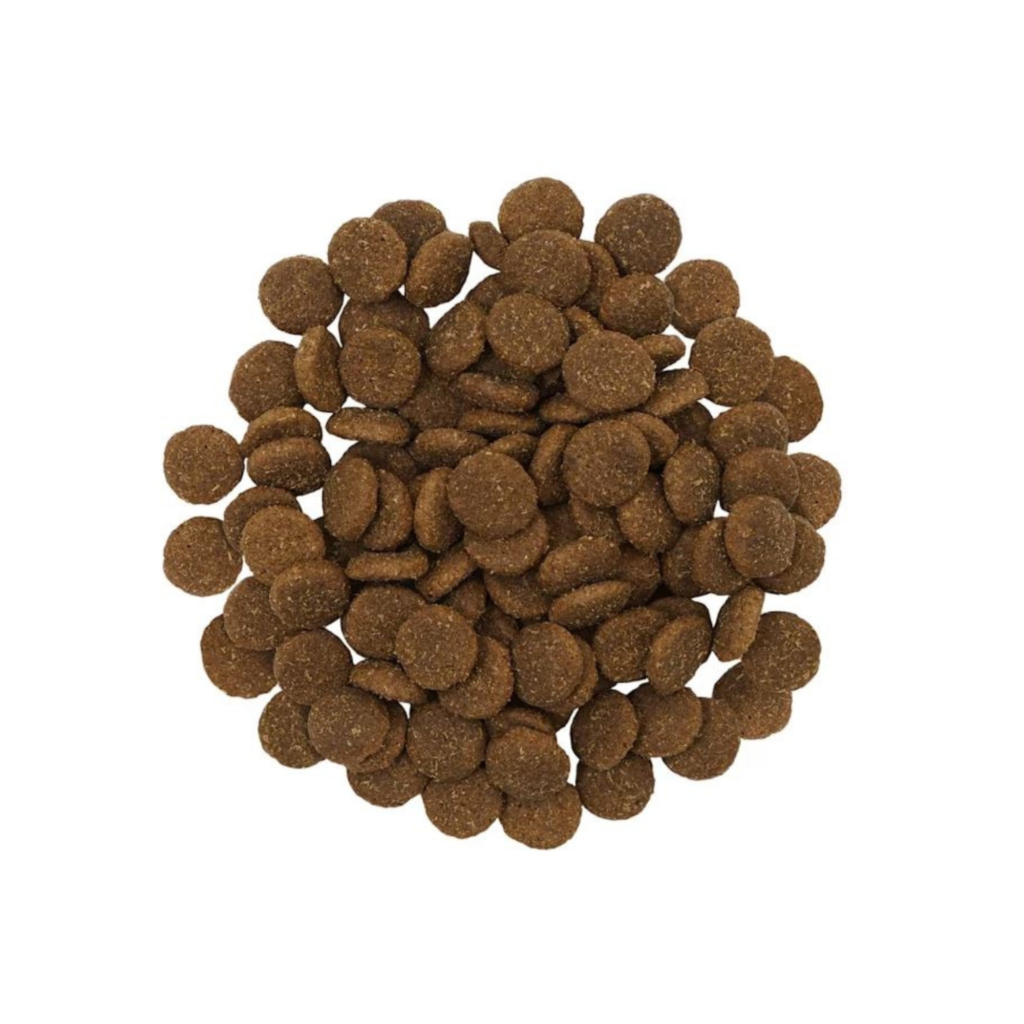 Go! Solutions Skin + Coat Care Large Breed Salmon with Grains Dog Food, 25 lb - Image 2