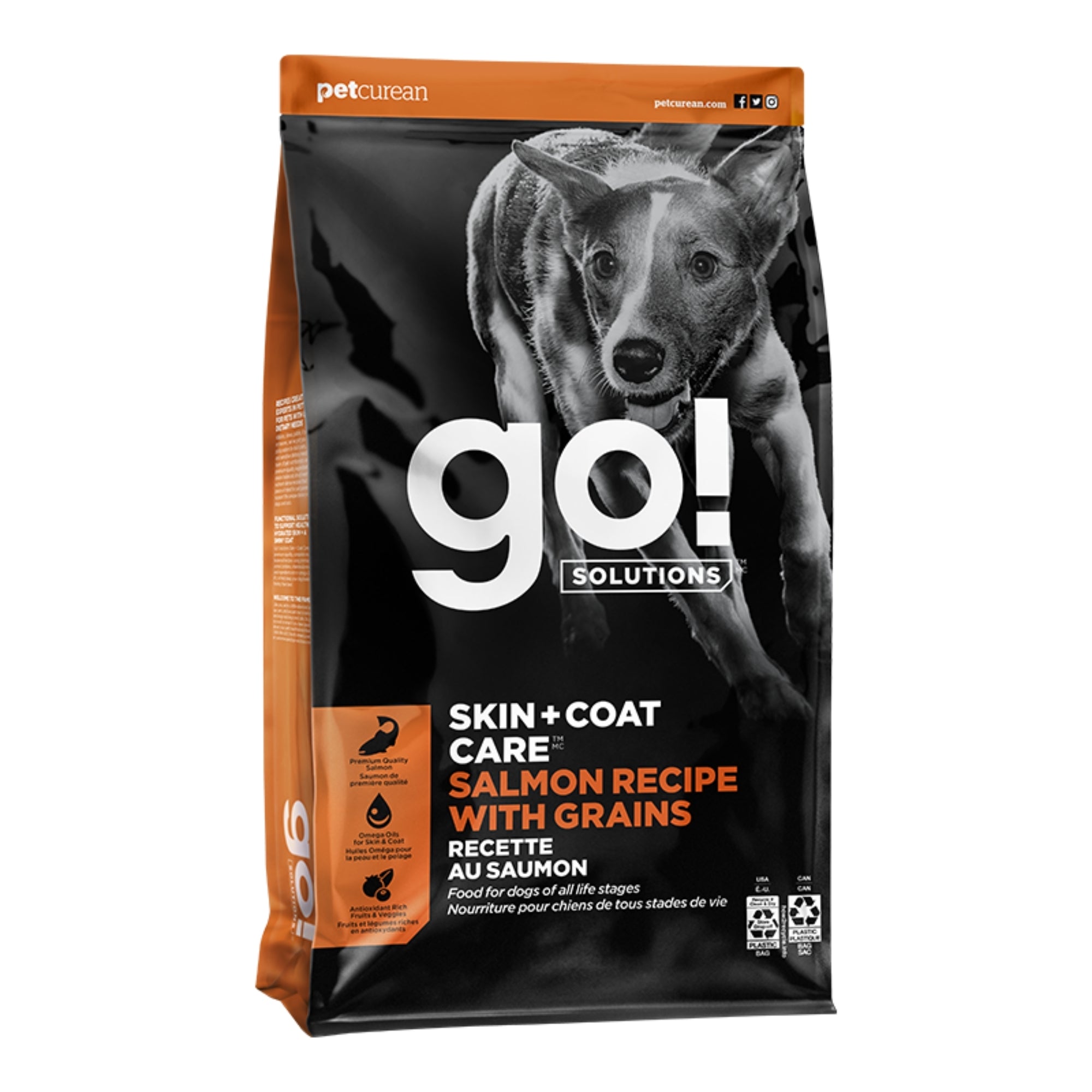 Go! Solutions Skin + Coat Care Salmon with Grains Dry Dog Food - Image 7