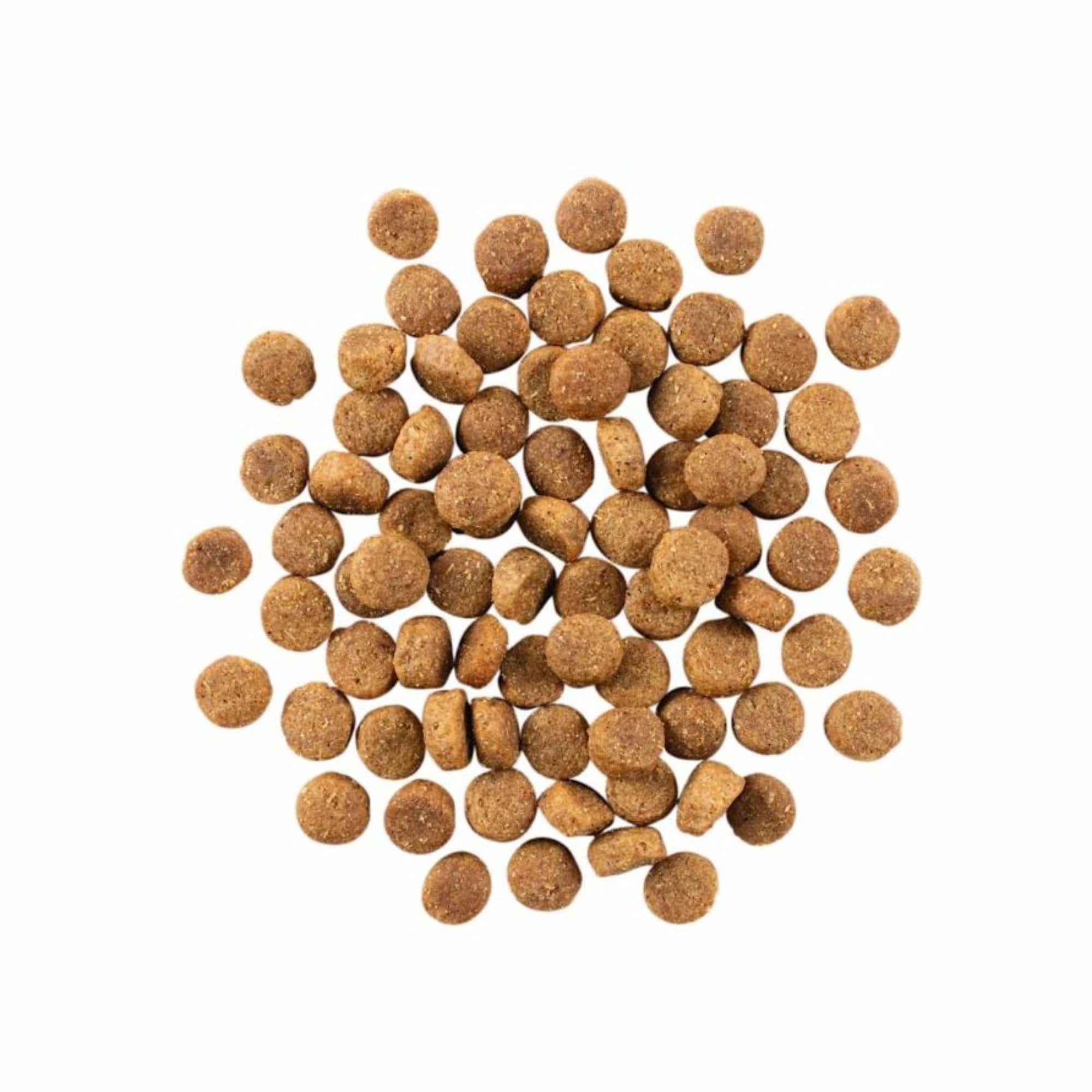 Go! Solutions Skin + Coat Care Duck with Grains Dry Dog Food - Image 6