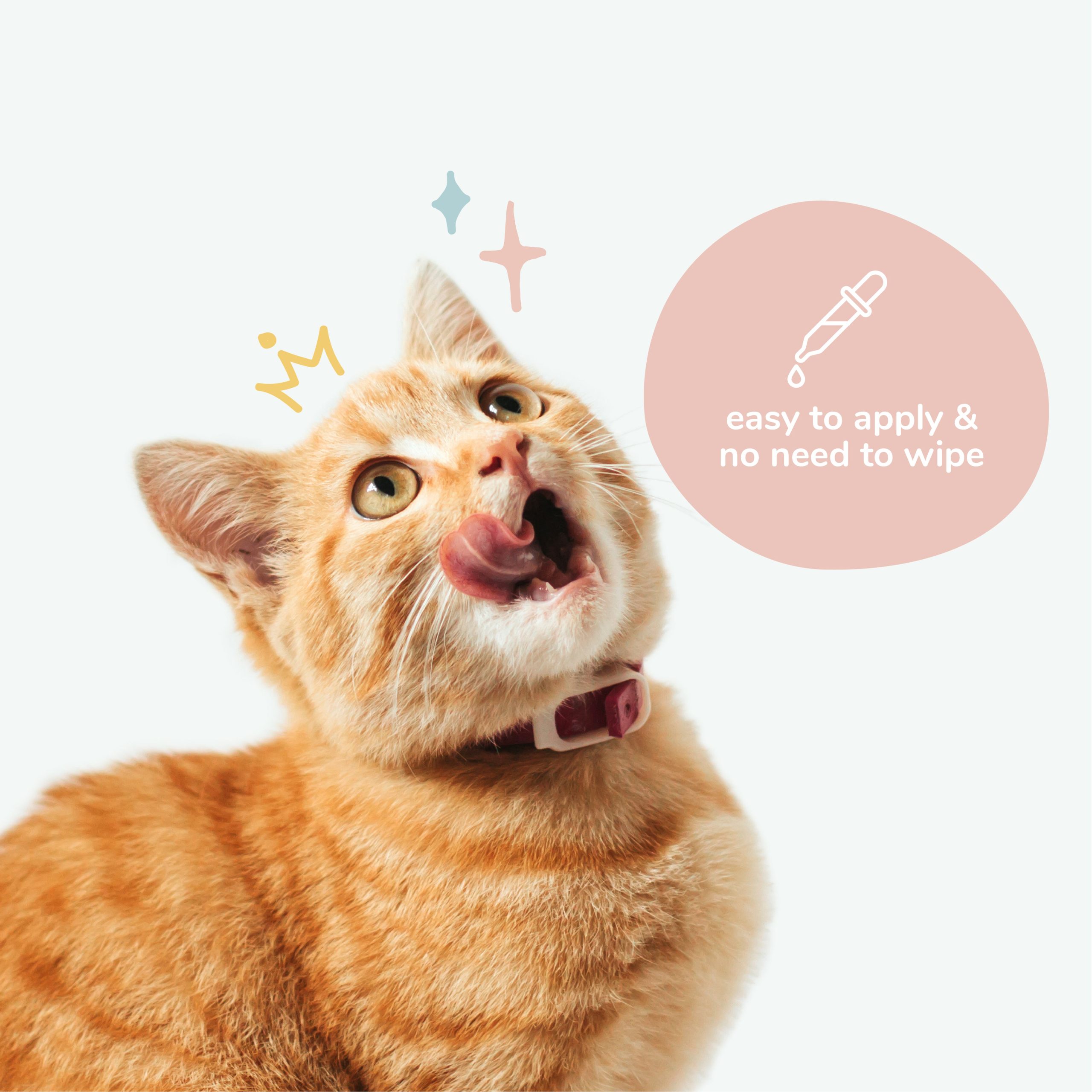 Kin+Kind Natural Kitty Ear Cleaner 4oz. - Image 3