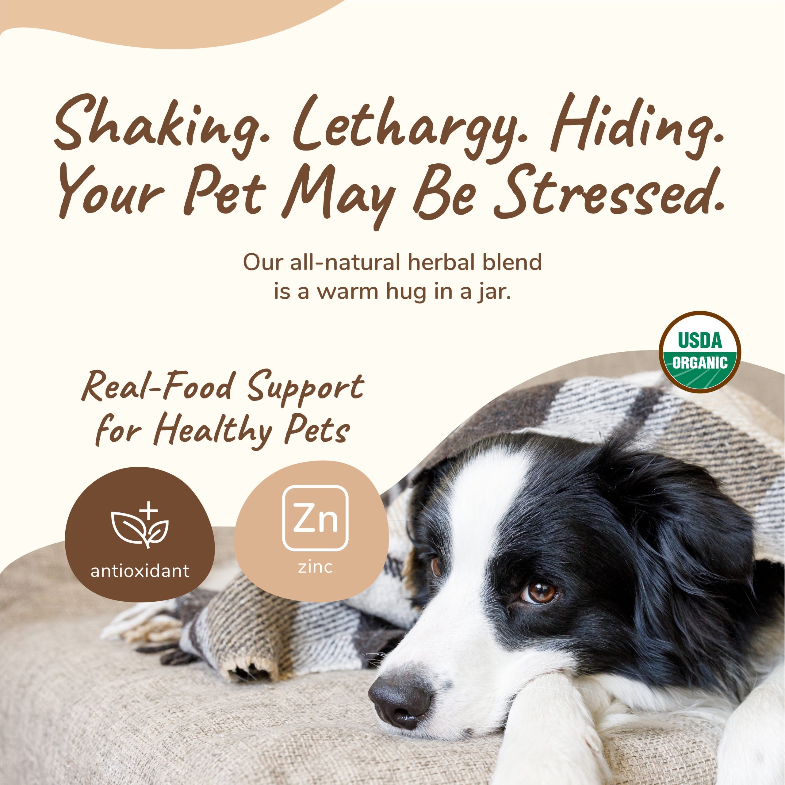 Kin+Kind Dog & Cat 4oz. Healthy Calm Supplement - Image 3