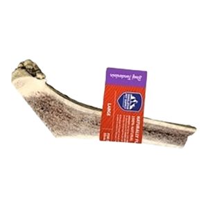 Himalayan Dog Red Tail Deer Split Antler Beef Tenderloin Dog Chew