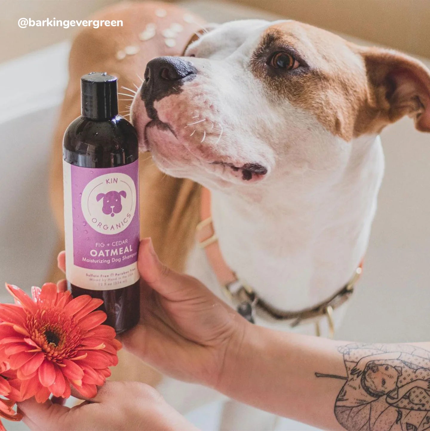 Kin+Kind Coat Oatmeal Fig+Cedar 12oz. Kin+Kind Organics Shampoo - Image 2